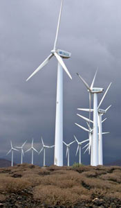 Harnessing the power of the wind in the South of Tenerife.