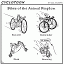 Determining your ideal fit on a bicycle.